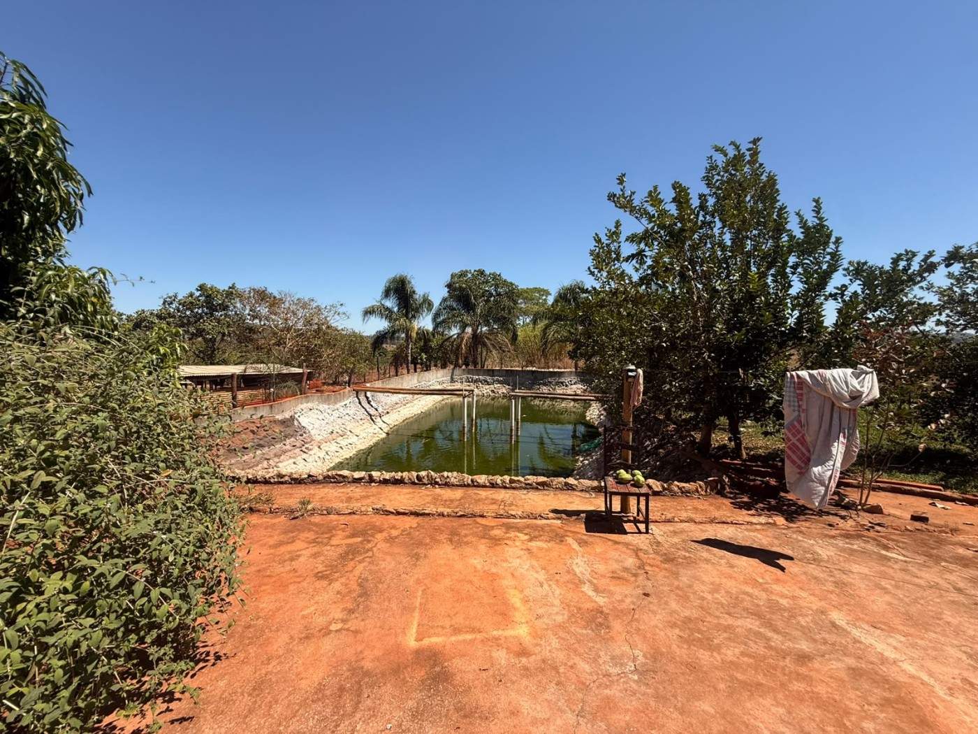 Fazenda, 10000 m² - Foto 9