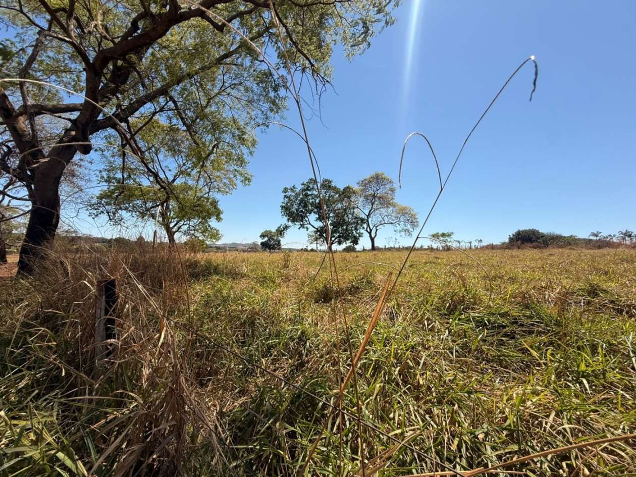 Fazenda, 10000 m² - Foto 8
