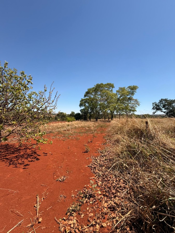 Fazenda, 10000 m² - Foto 14