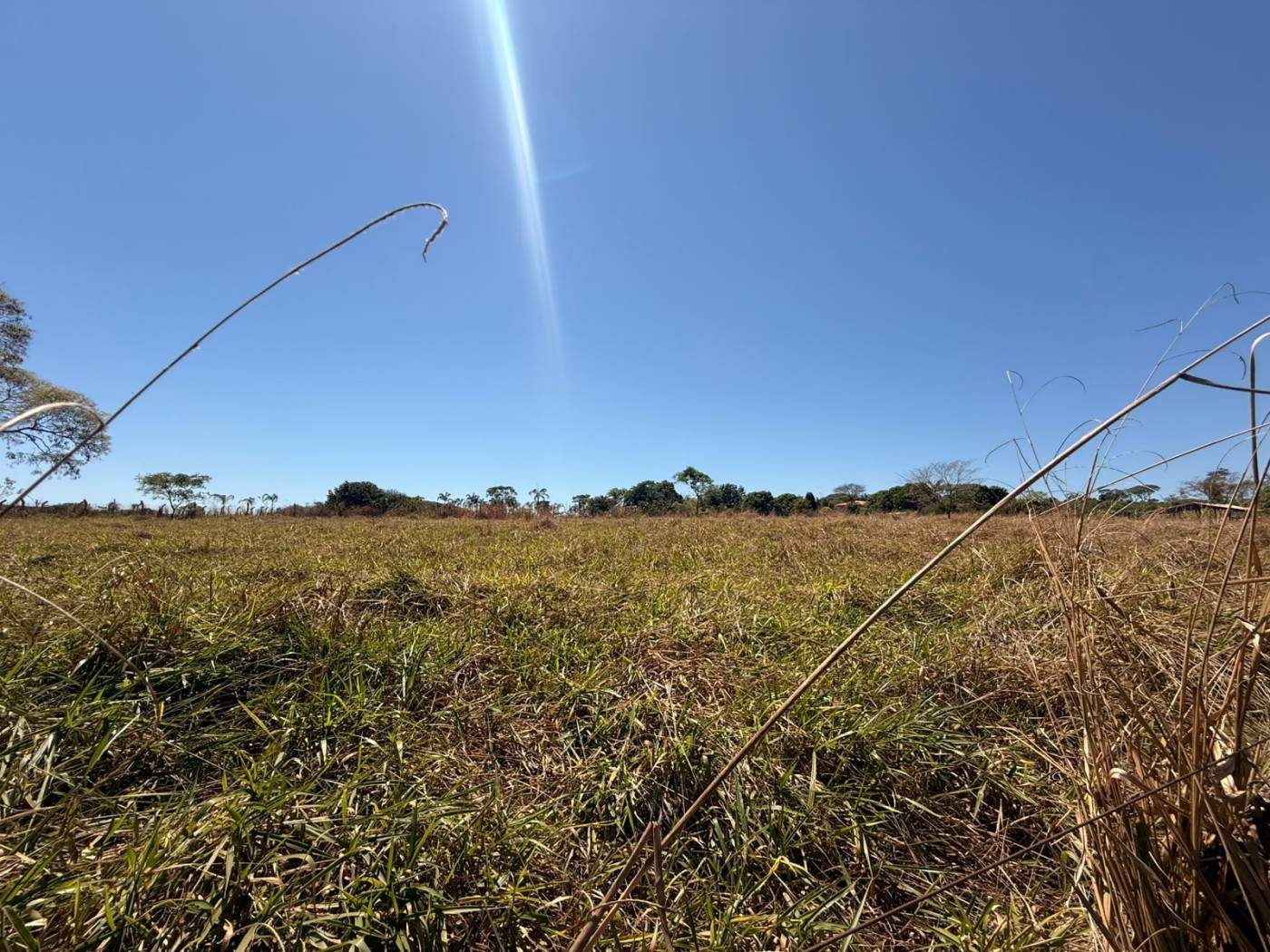 Fazenda, 10000 m² - Foto 11