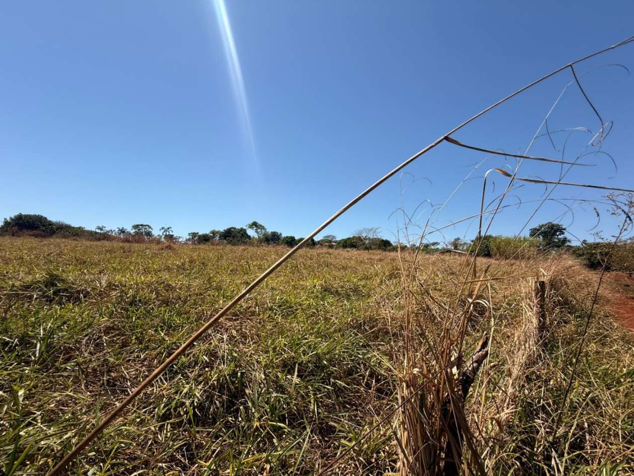 Fazenda, 10000 m² - Foto 13