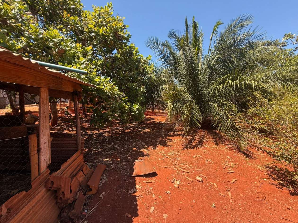 Fazenda, 10000 m² - Foto 12