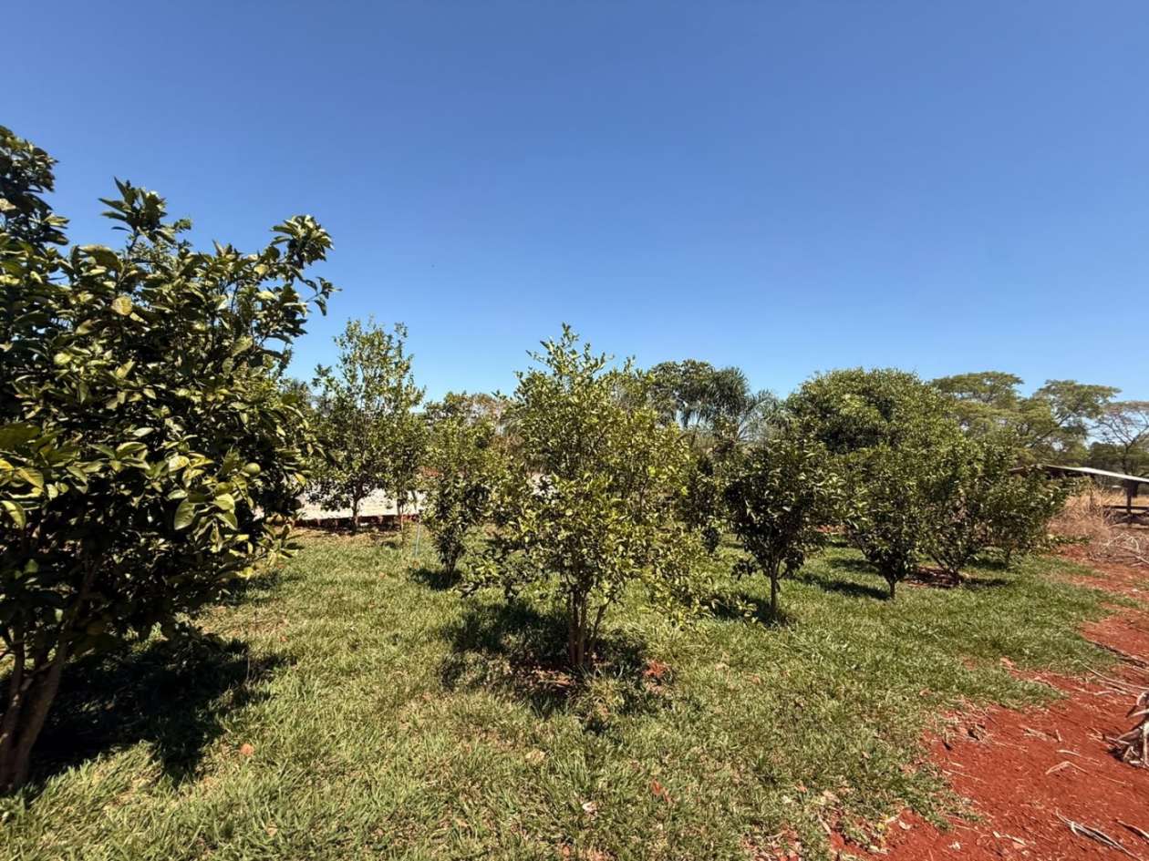 Fazenda, 10000 m² - Foto 19