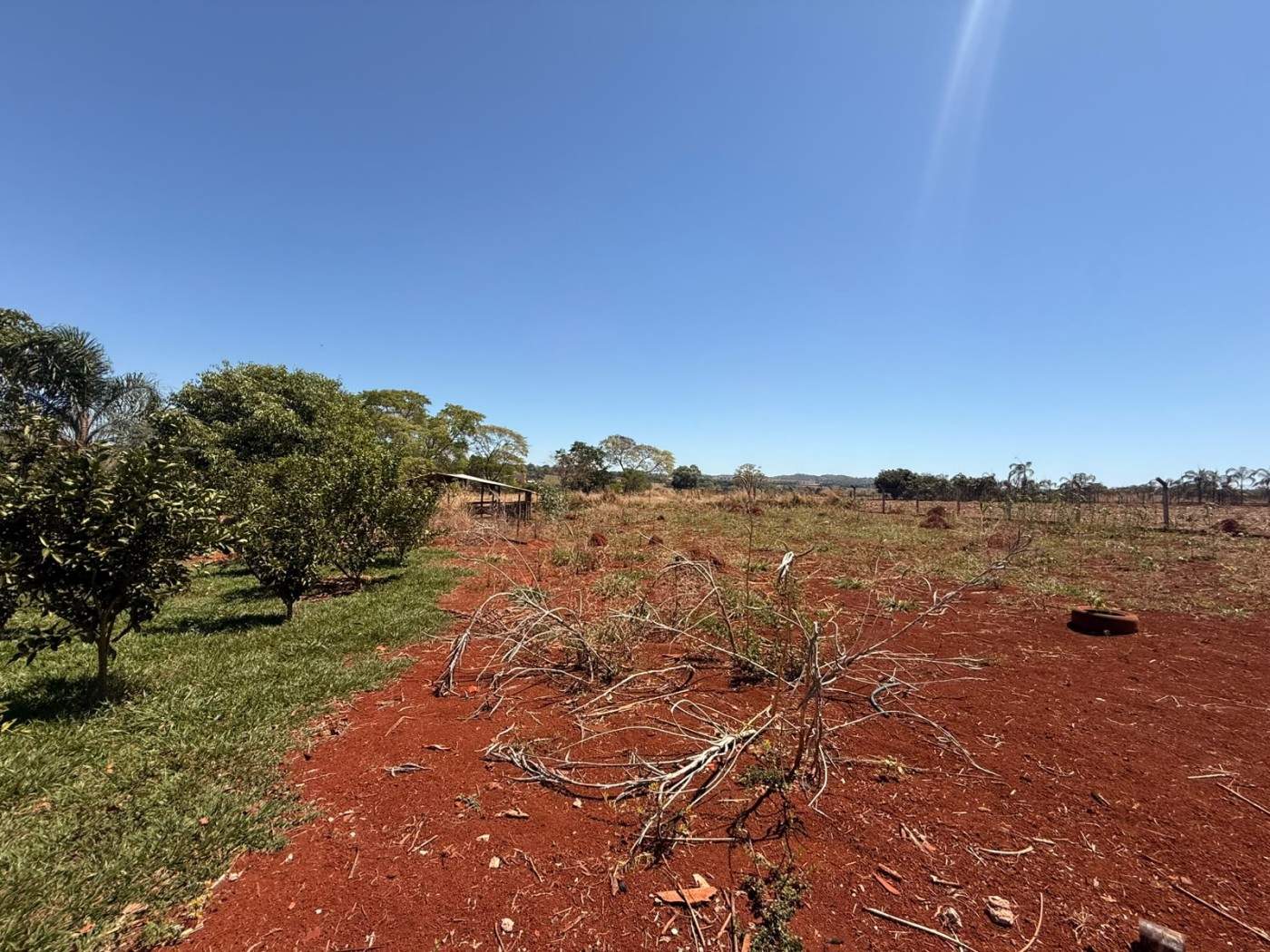 Fazenda, 10000 m² - Foto 31